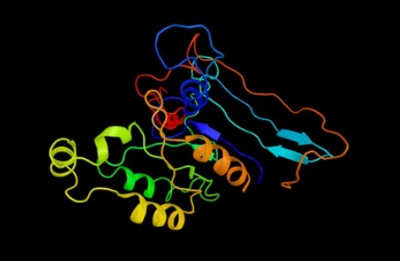 PAK (p21-activated Kinases) - Creative BioMart